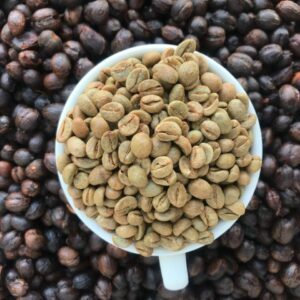 Alternative view of Robusta Natural