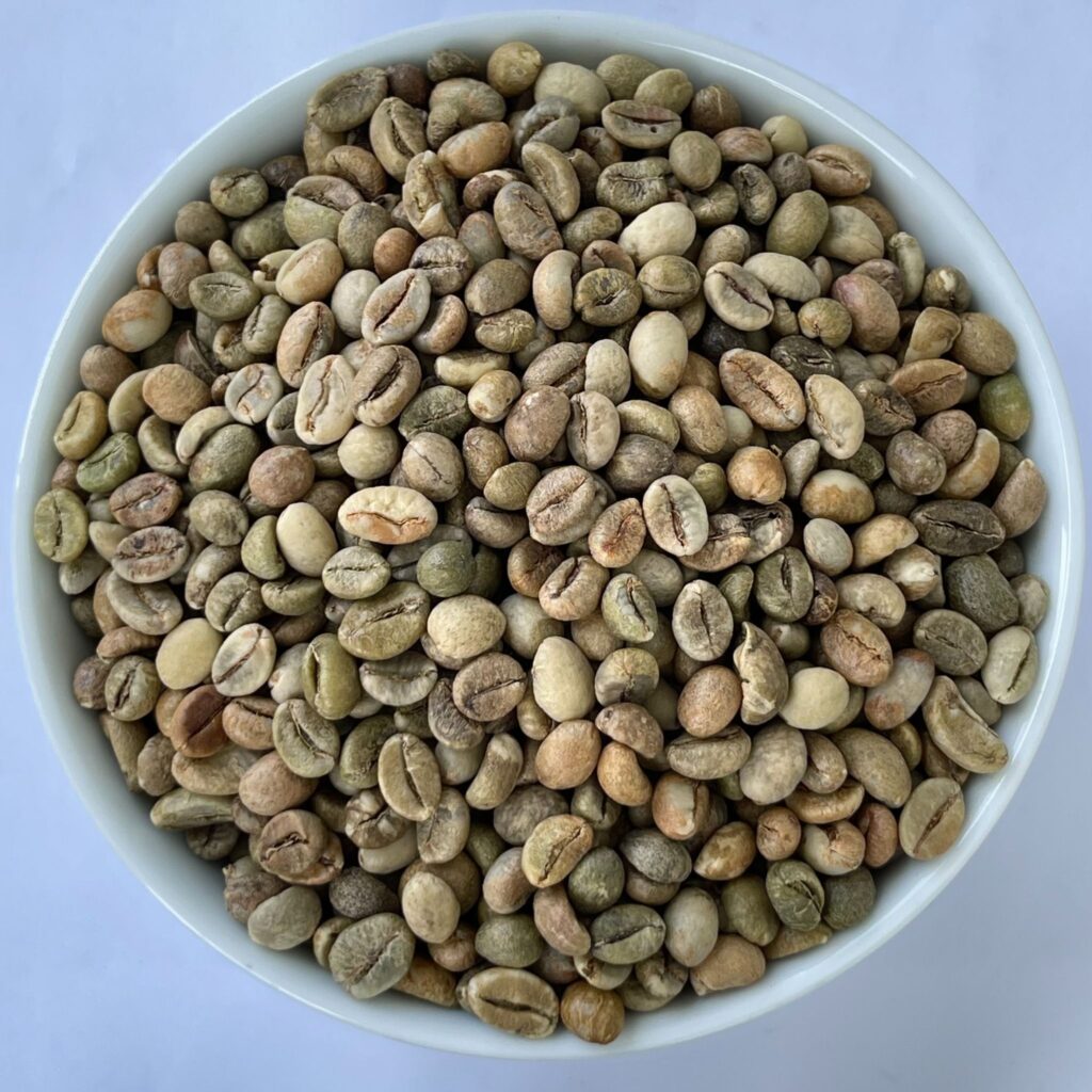 Unwashed Robusta Clean