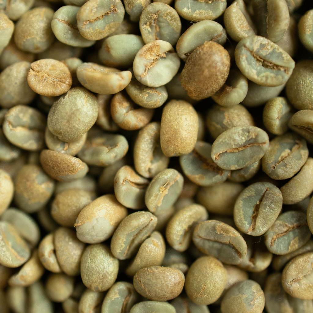 Arabica Green bean