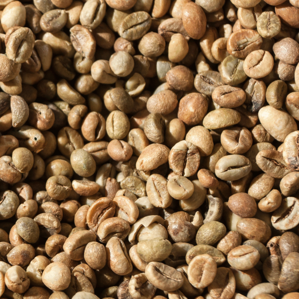 Robusta Green Coffee Bean