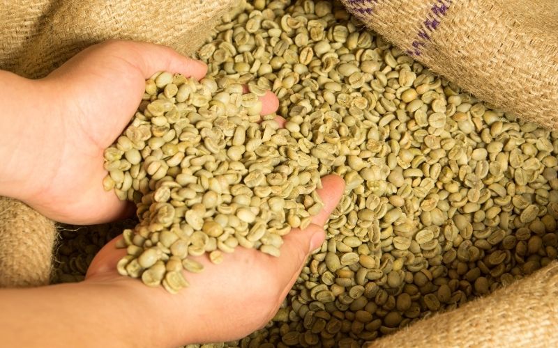 Hành Trình Hương Vị Bí Mật Tạo Nên Tách Cà Phê Nguyên Bản