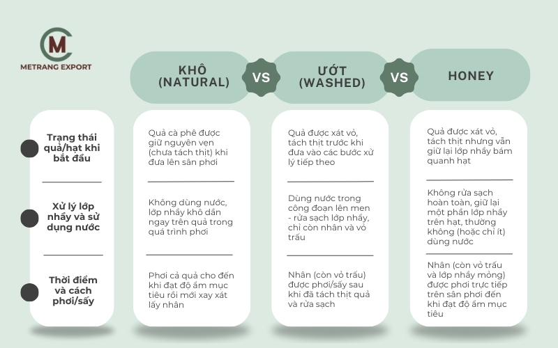 Cà phê nhân xanh: điểm xuất phát của mọi quyết định rang xay