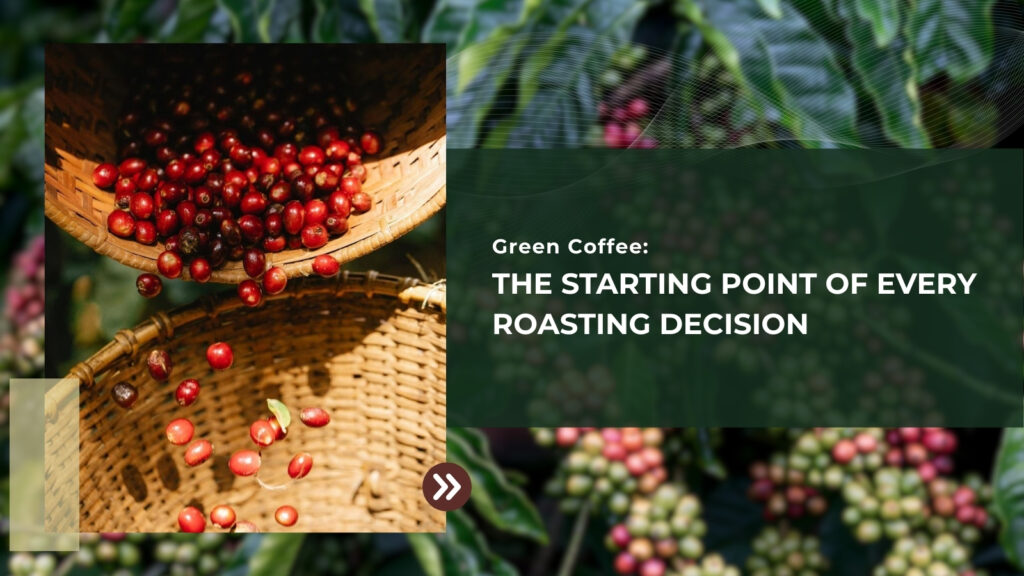 Green Coffee: The Starting Point Of Every Roasting Decision
