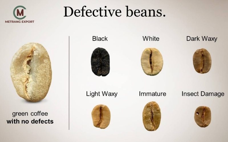 Green Coffee: The Starting Point Of Every Roasting Decision