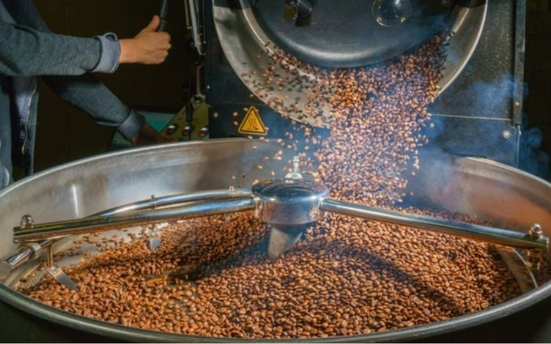Green Coffee: The Starting Point Of Every Roasting Decision