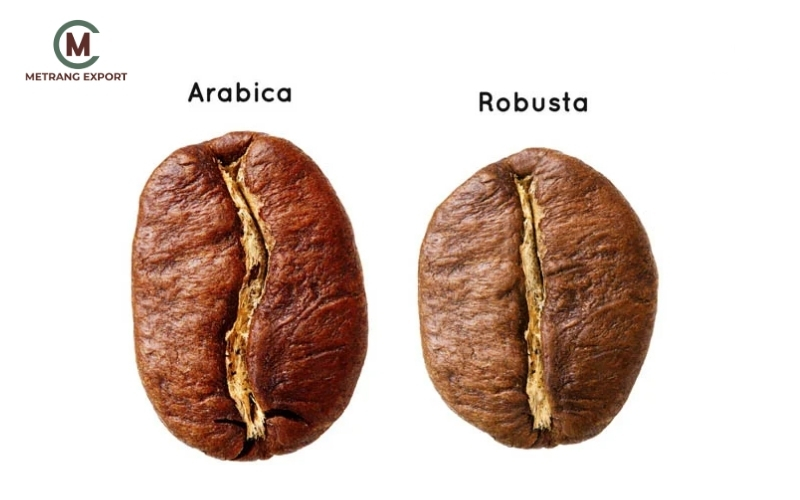 Green Coffee: The Starting Point Of Every Roasting Decision