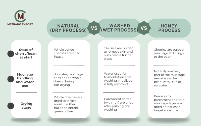Green Coffee: The Starting Point Of Every Roasting Decision