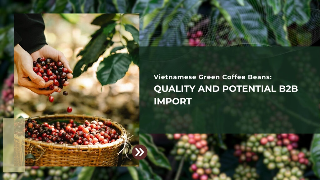 Vietnamese Green Coffee Beans: Quality And Potential B2B Import