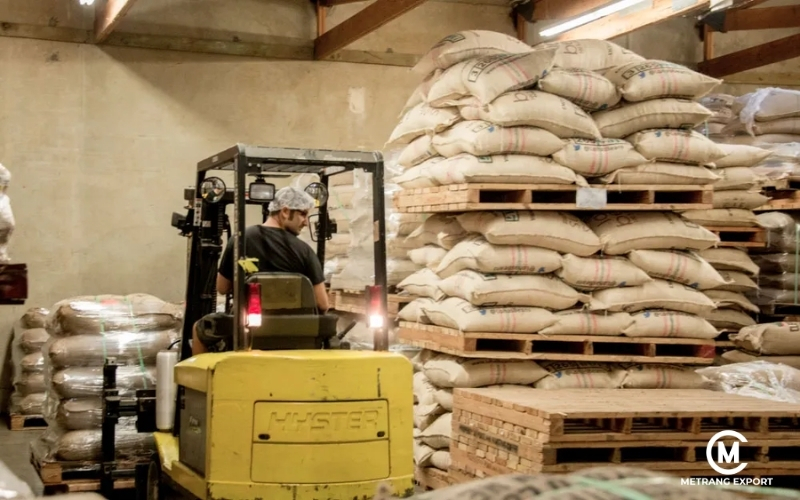 Vietnamese Green Coffee Beans: Quality And Potential B2B Import