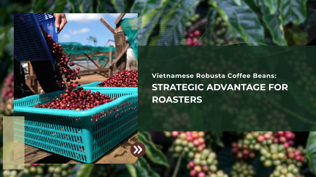 Vietnamese Robusta Coffee Beans: Strategic Advantage for Roasters