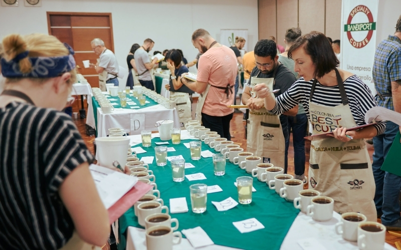 Cà phê đặc sản là gì? Tiêu chuẩn và ứng dụng cho thương hiệu