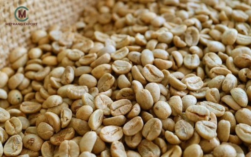 Cà phê nhân xanh: Quy trình sơ chế định hình chất lượng