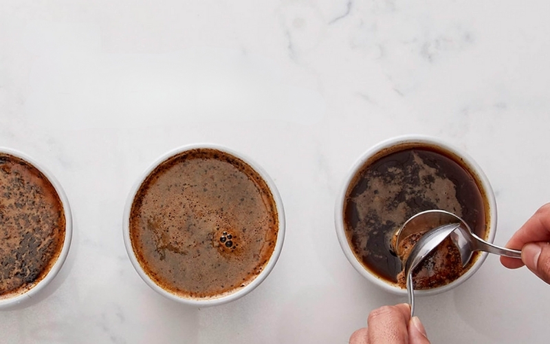 Cà phê nhân xanh: Quy trình sơ chế định hình chất lượng