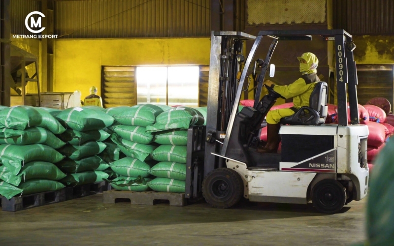 Culi Robusta: Hạt Cà Phê Dành Cho Tín Đồ Gu Mạnh