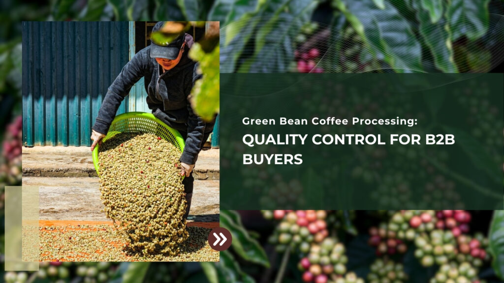 Green Bean Coffee Processing: Quality Control for B2B Buyers