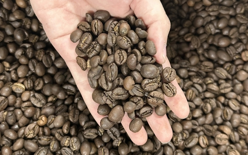 Hạt Cà Phê Robusta Việt Nam: Lợi Thế Vàng Cho Nhà Rang Xay
