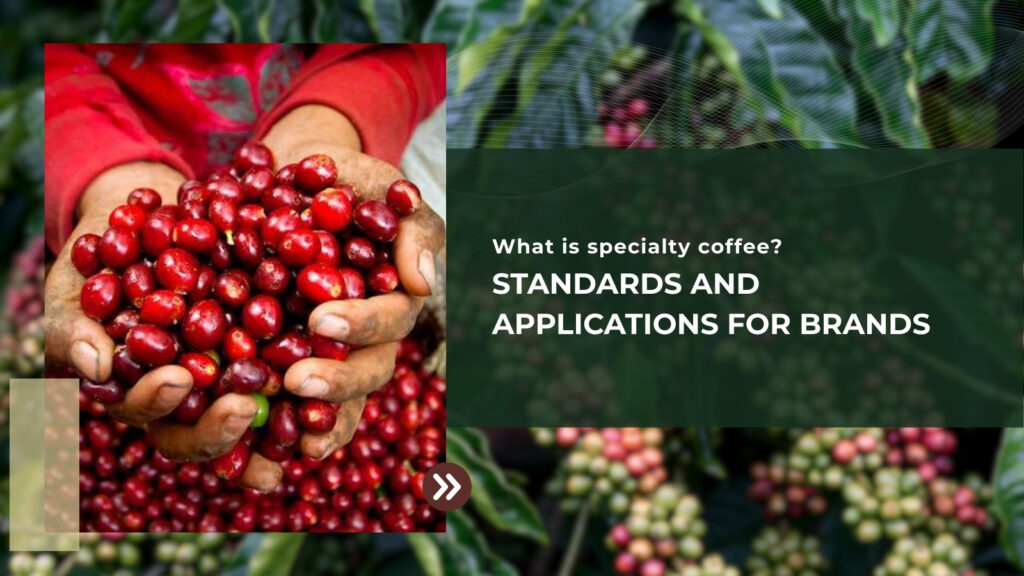 What Is Specialty Coffee? Standards & Brand Applications