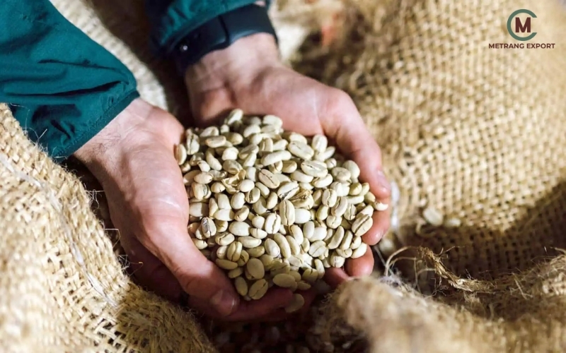 What Is Specialty Coffee? Standards & Brand Applications