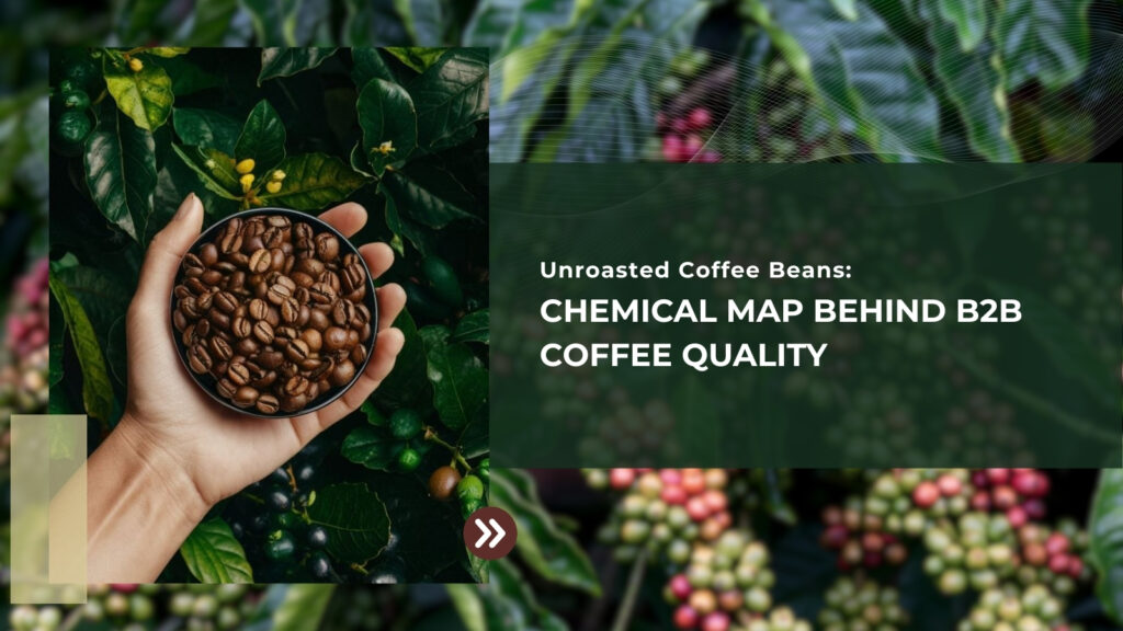 Unroasted Coffee Beans: Chemical Map Behind B2B Coffee