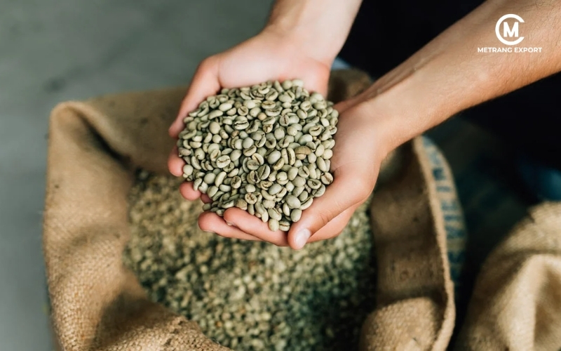 Unroasted Coffee Beans: Chemical Map Behind B2B Coffee