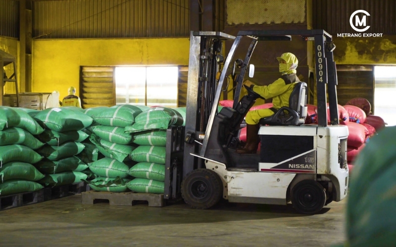 Unroasted Coffee Beans: Chemical Map Behind B2B Coffee