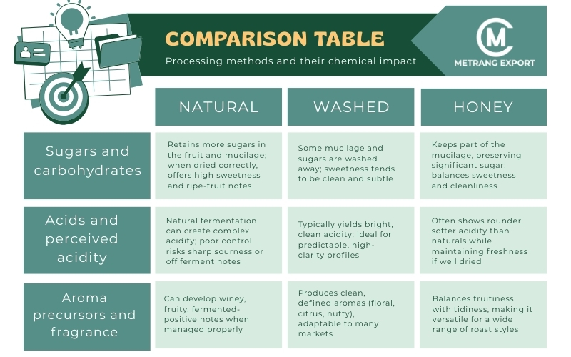 Unroasted Coffee Beans: Chemical Map Behind B2B Coffee