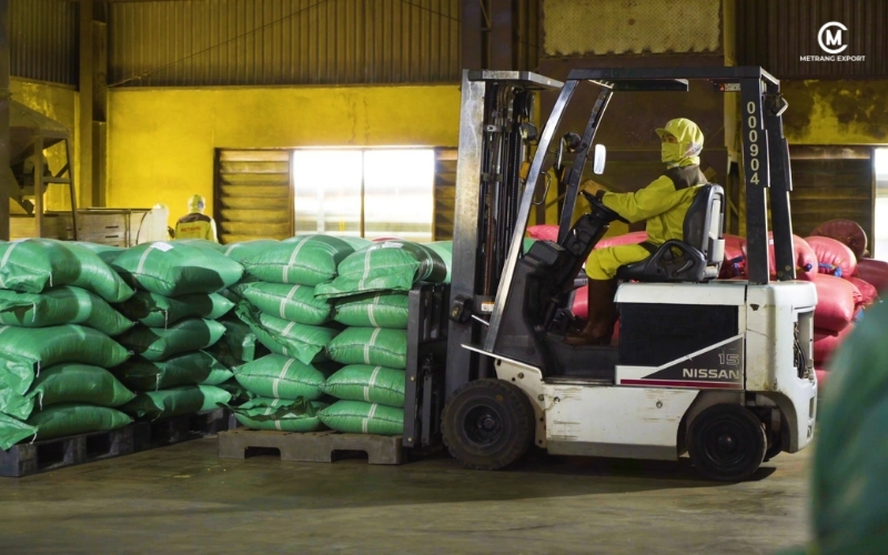 Vì sao cà phê nhân xanh sơ chế khô giữ được trọn vị nguyên bản?