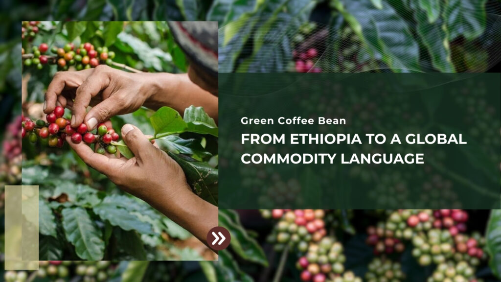 Green Coffee Bean: From Ethiopia to a Global Commodity Language