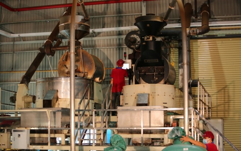 MeTrang Coffee: From Heritage To Strategic Global Supply Excellence