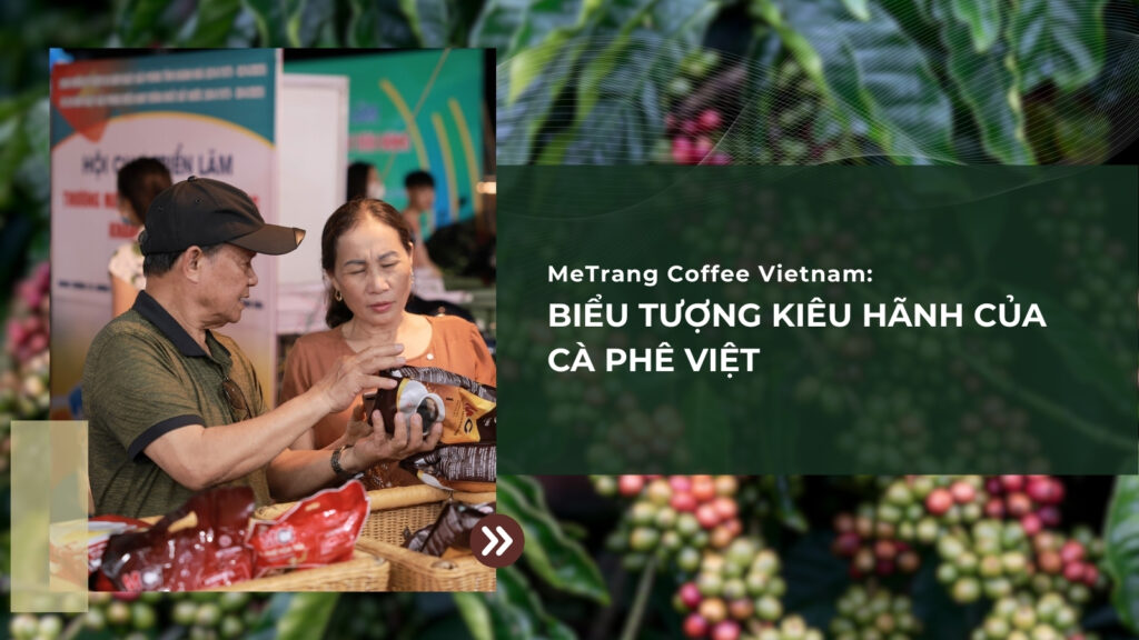 MeTrang Coffee Vietnam: Biểu Tượng Kiêu Hãnh Của Cà Phê Việt
