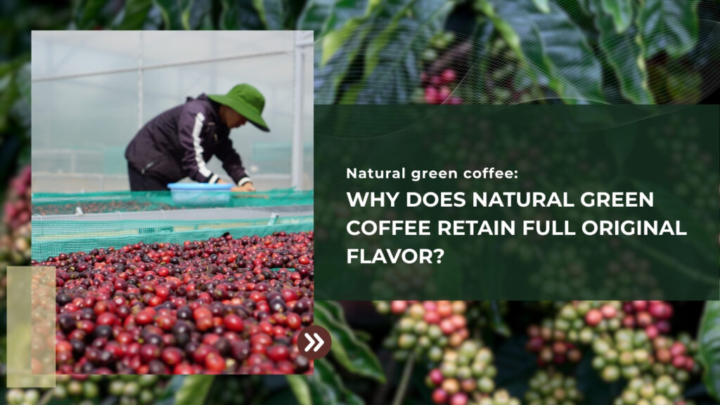 Why Does Natural Green Coffee Retain Full Original Flavor?