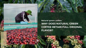 Why Does Natural Green Coffee Retain Full Original Flavor?