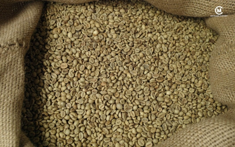 Robusta Green Coffee Bean: How Climate Shapes Consistent Quality