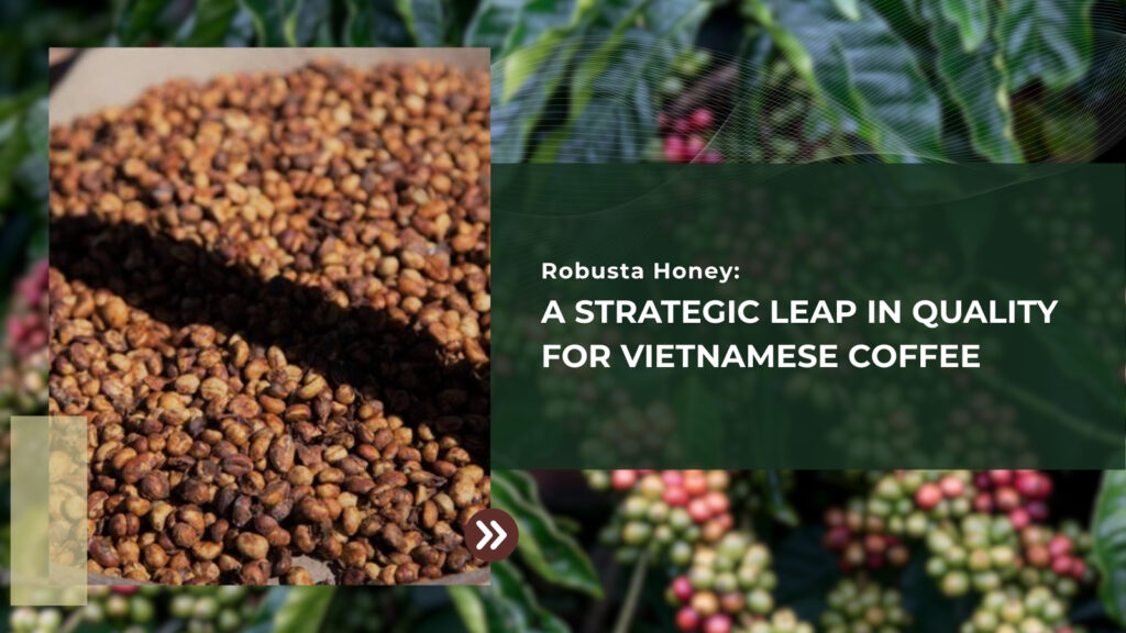 Robusta Honey: A Strategic Leap in Quality for Vietnamese Coffee
