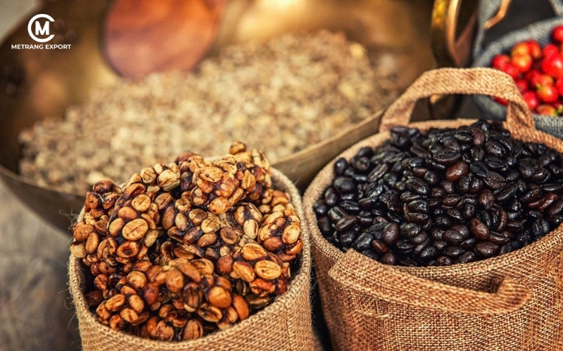 Robusta Honey: Bước tiến về chất lượng và giá trị hạt cà phê Việt