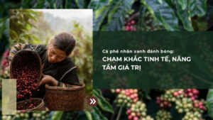 Cà phê nhân xanh đánh bóng: Chạm khắc tinh tế, nâng tầm giá trị