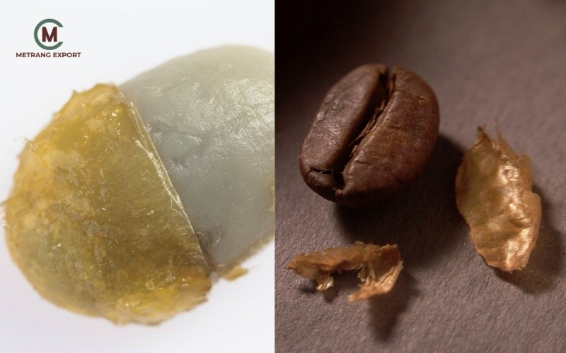 Wet Polished Coffee: Refined Craftsmanship For Enhanced Value