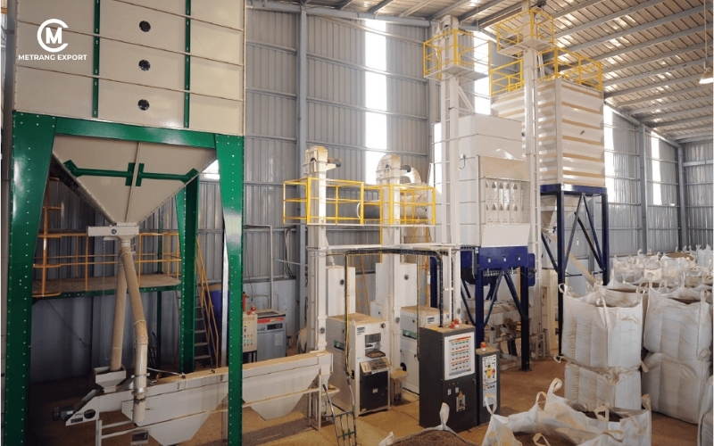 Vỏ lụa của hạt nhân xanh bong ra sau khi rang