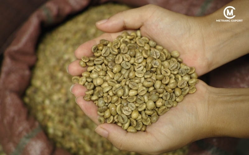 Wet Polished Coffee: Refined Craftsmanship For Enhanced Value