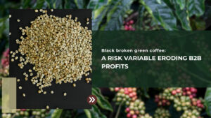Black Broken Green Coffee: A Risk Variable Eroding B2B Profits