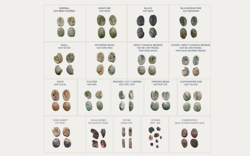 Black Broken Green Coffee: A Risk Variable Eroding B2B Profits