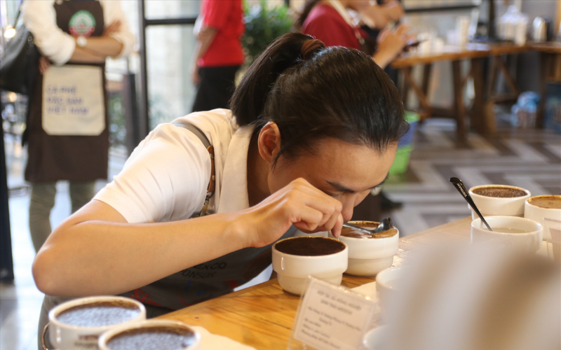 80+ Điểm SCA: Thước Đo Chuẩn Cho Cà Phê Nhân Xanh Đặc Sản