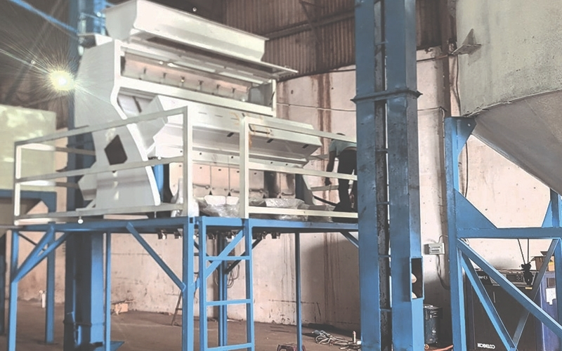 Tiêu Chuẩn Chất Lượng Cà Phê Nhân Xanh: Thước Đó Giá Trị B2B