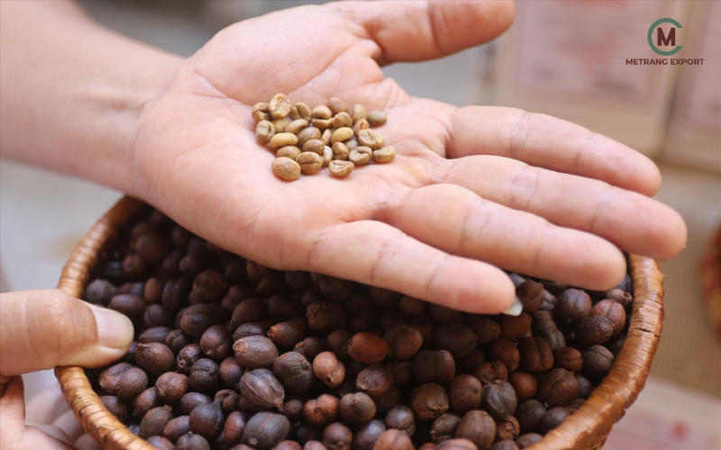 80+ SCA Score: The Standard for Specialty Green Coffee Bean