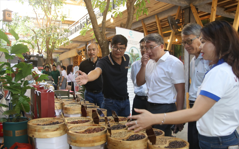 80+ SCA Score: The Standard for Specialty Green Coffee Bean