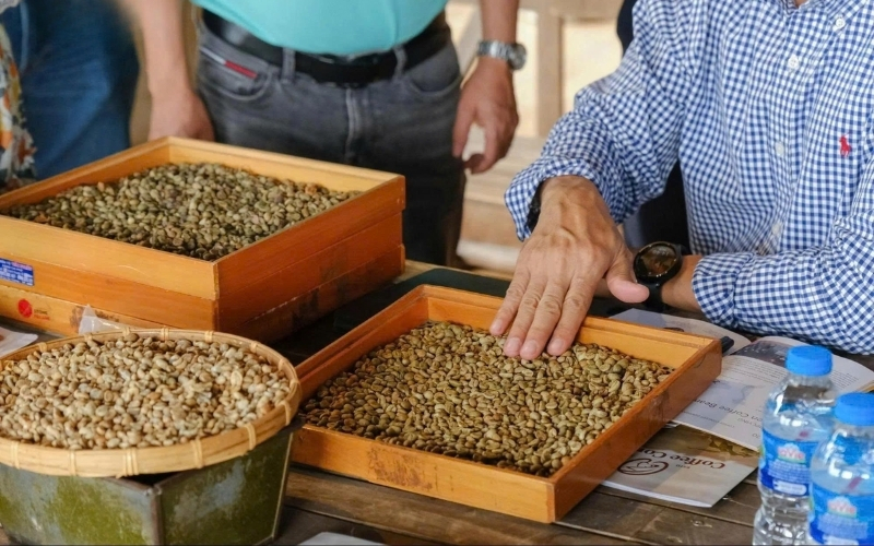 What Is Green Coffee Quality: The Ultimate B2B Value Benchmark