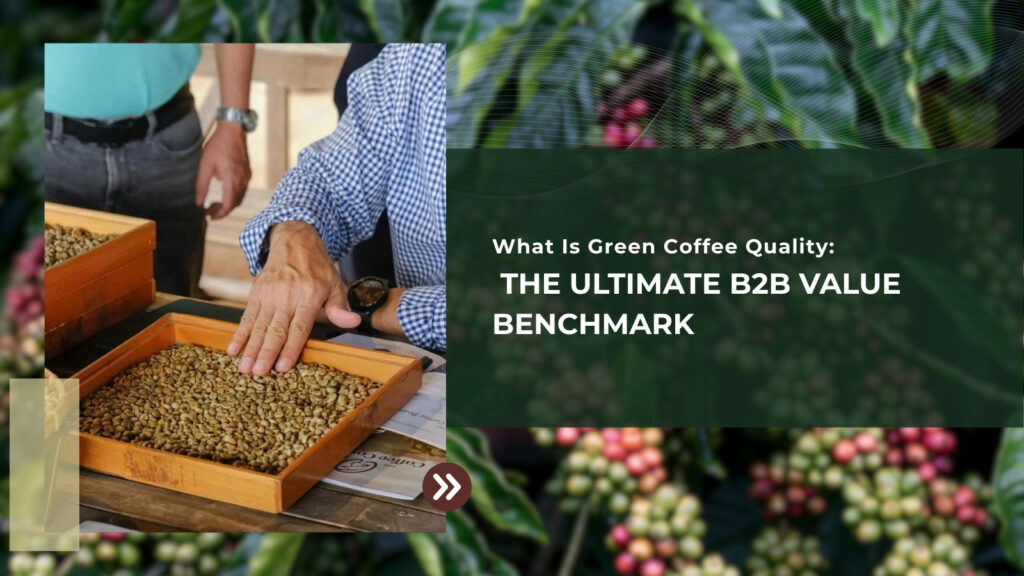 What Is Green Coffee Quality: The Ultimate B2B Value Benchmark