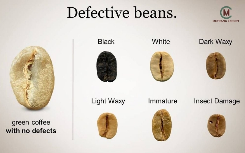 What Is Green Coffee Quality: The Ultimate B2B Value Benchmark