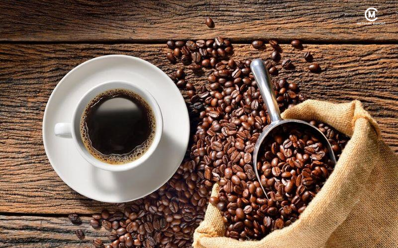 Where To Buy Coffee Beans? 03 Strategic B2B Supply Channels