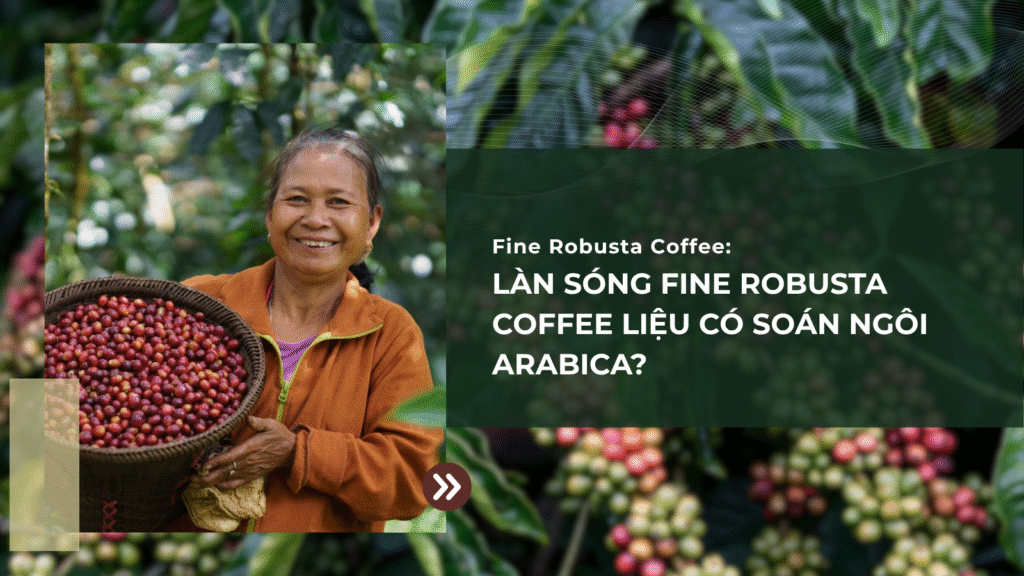 Làn Sóng Fine Robusta Coffee Liệu Có Soán Ngôi Arabica?